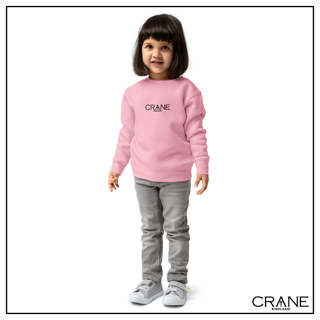 Kids Embroidered Fleece Sweatshirt —  Pink, Grey and Beige