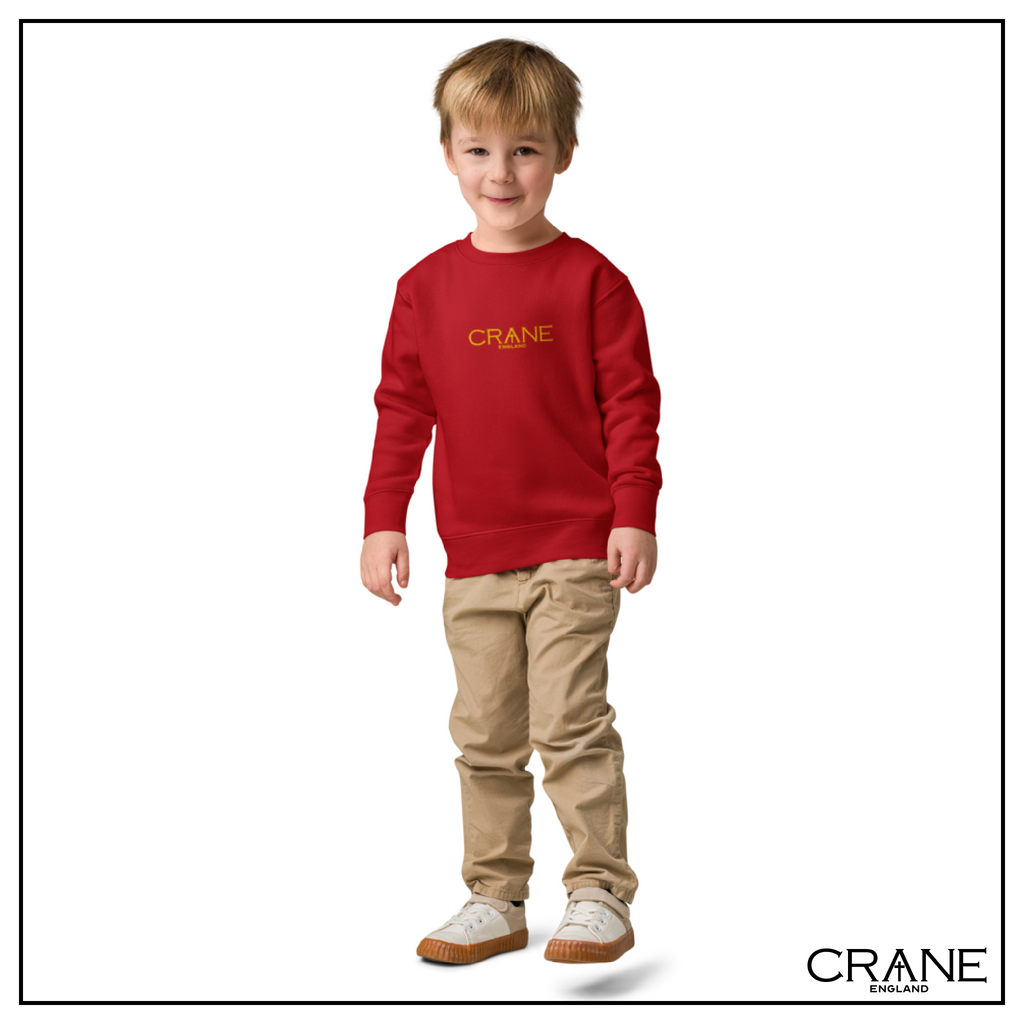Kids Embroidered Fleece Sweatshirt —  Black, Navy and Red