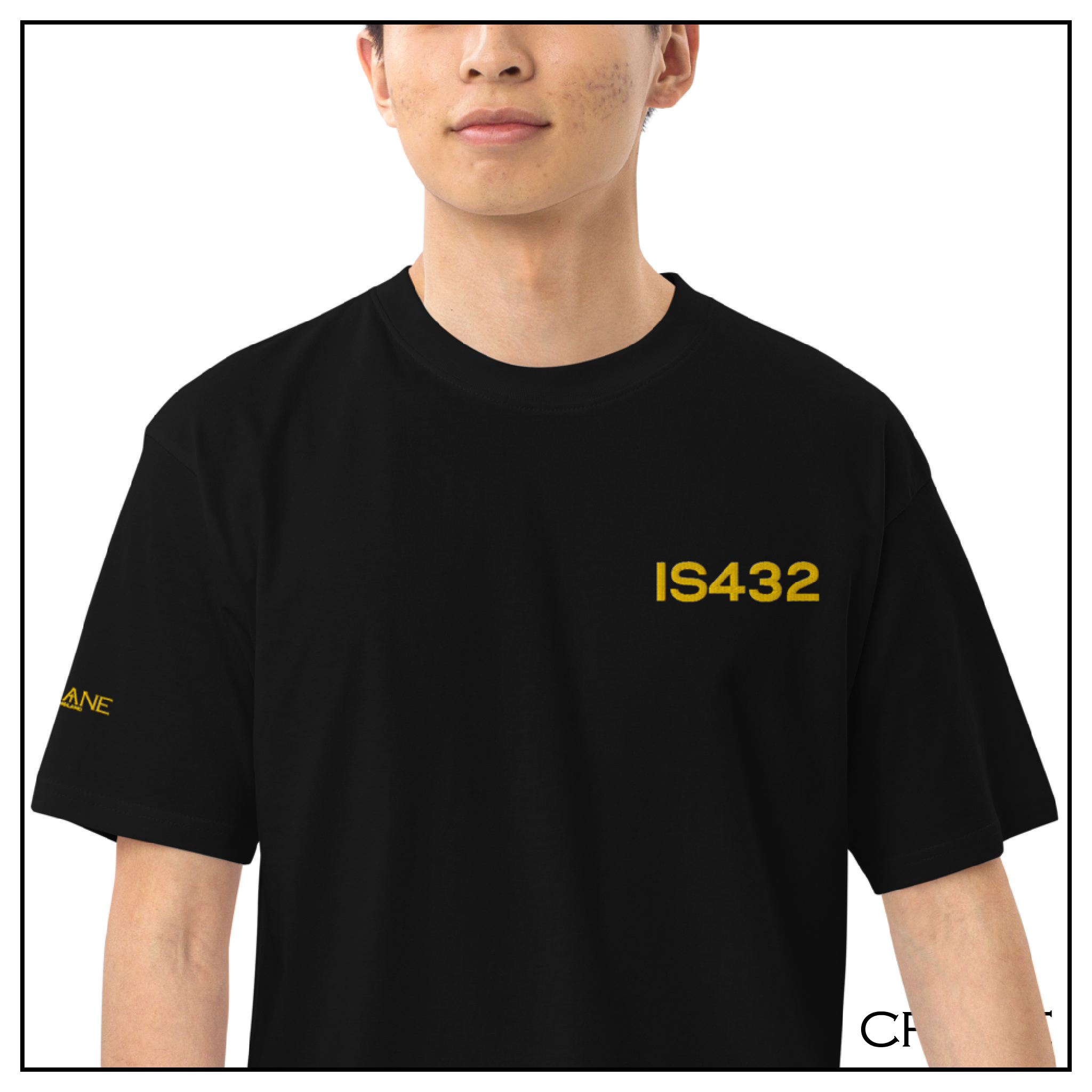 IS432 Men’s Embroidered Verse Shirt