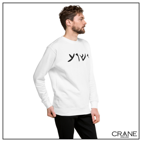 Aramaic Embroidered Sweatshirt (light)