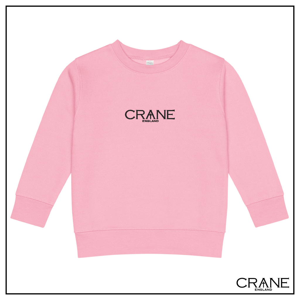 Kids Embroidered Fleece Sweatshirt —  Pink, Grey and Beige