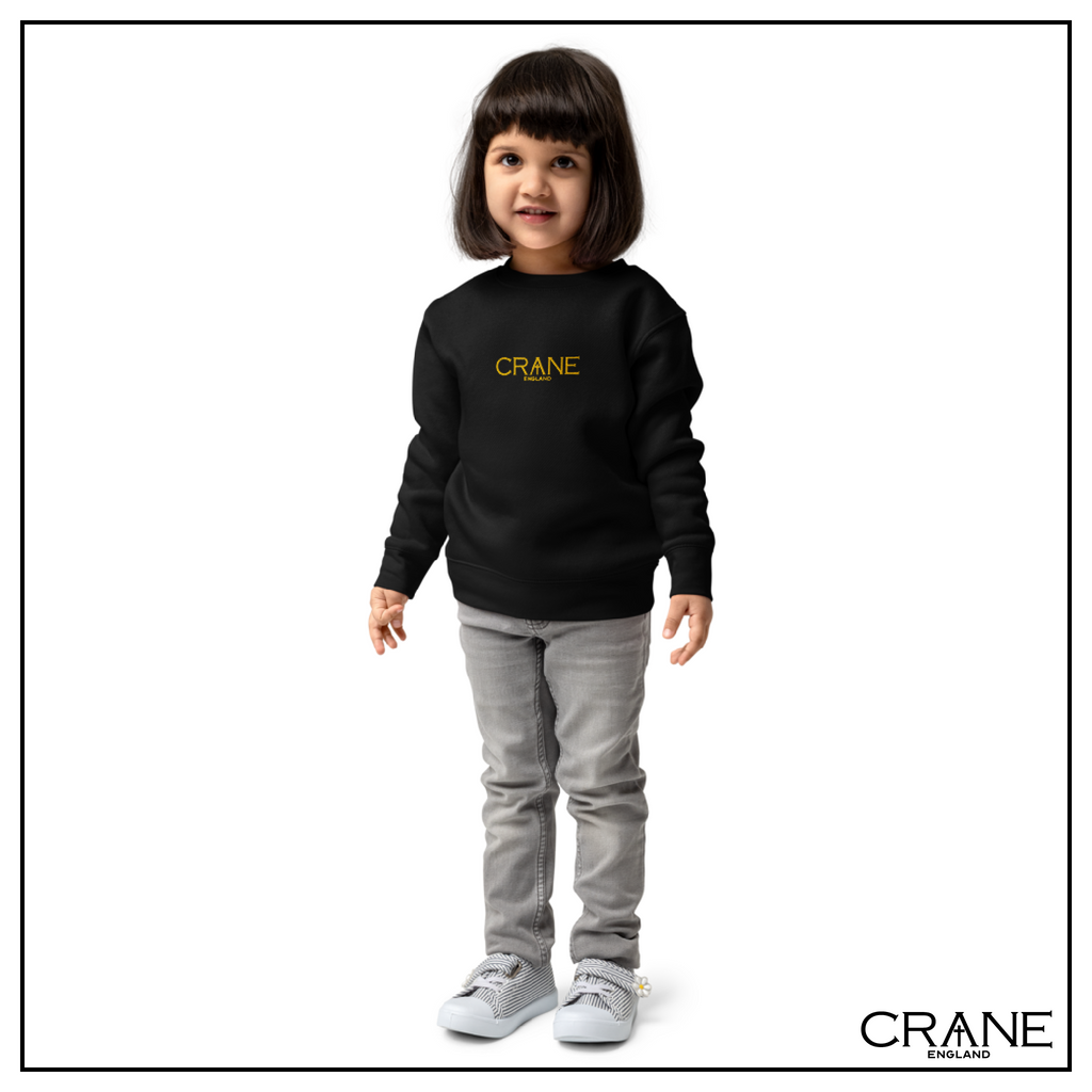 Kids Embroidered Fleece Sweatshirt —  Black, Navy and Red